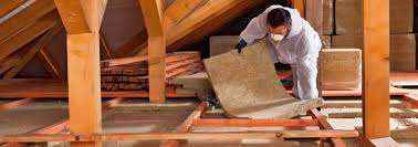 Best Attic Insulation Installation  in Luxemburg, WI